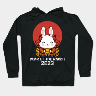 Cute Rabbit Chinese New Year 2023 - Year of the Rabbit 2023 Hoodie